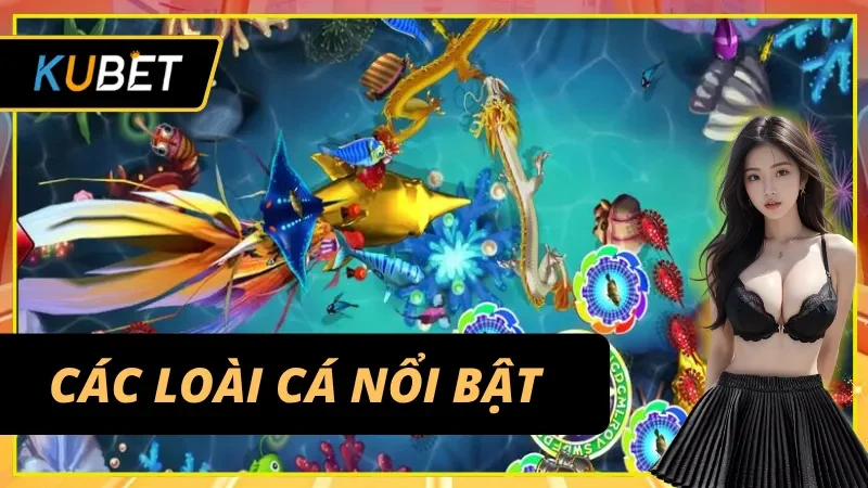 Các loài cá nổi bật trong bắn cá vàng Kubet