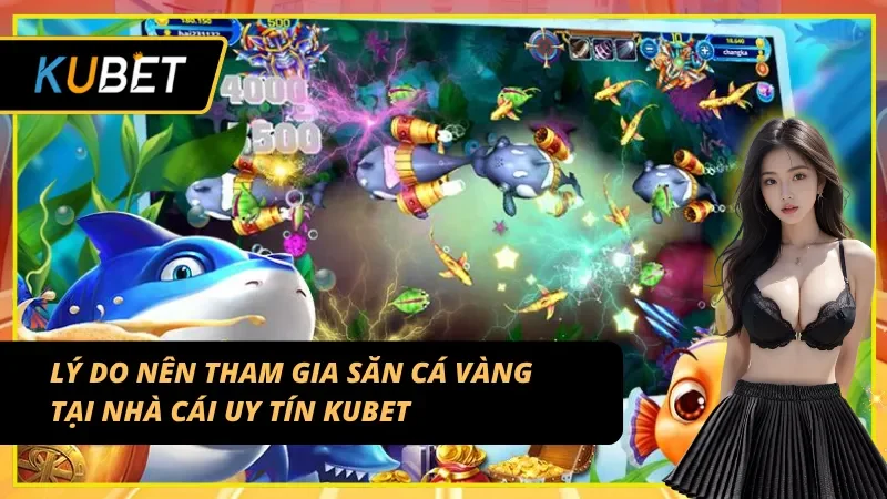 Lý do nên tham gia bắn cá vàng tại nhà cái uy tín Kubet