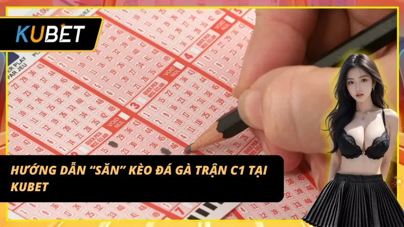 Các loại kèo cược đặc biệt dành riêng cho Đá gà C1