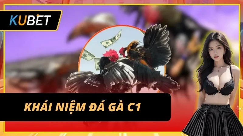Đá gà C1 - Giải mã đấu trường đẳng cấp nhất