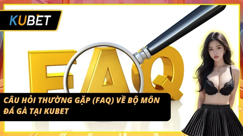 Câu hỏi thường gặp về Đá gà Campuchia tại Kubet