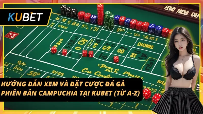 Hướng dẫn để có thể xem Đá gà Campuchia tại Kubet đơn giản