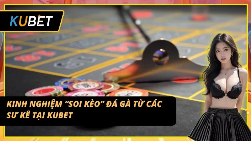 Kinh nghiệm để “soi kèo” Đá gà Campuchia đơn giản từ các sư kê