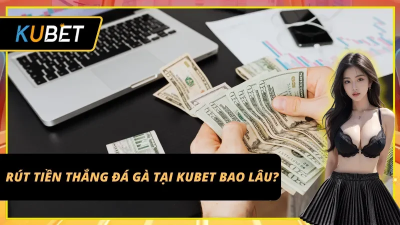 Tiền thắng được từ Đá Gà Campuchia có thể rút về ngay lập tức