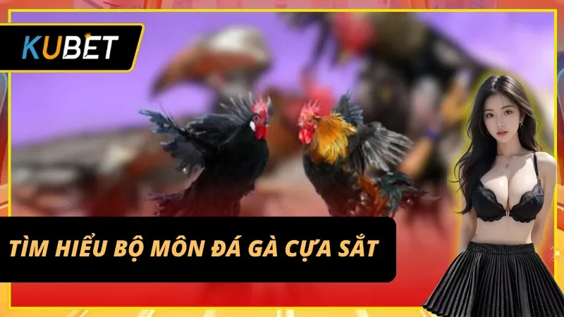 Đá gà cựa sắt - sân chơi giải trí đẳng cấp tại Kubet