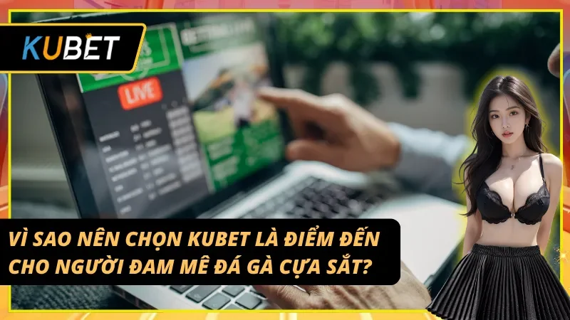 Sức hút của Kubet với người chơi đá gà cựa sắt