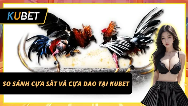 So sánh hai sự lựa chọn nổi bật tại Đá gà Thomo