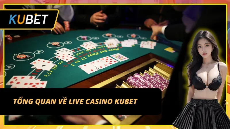 Khám phá thế giới cá cược đỉnh cao tại Live Casino Kubet