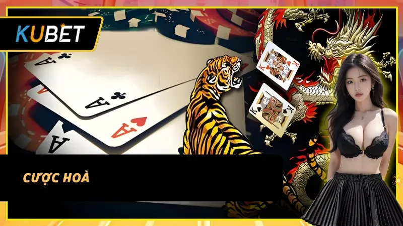 Cược hoà Rồng hổ Kubet nhận thưởng 1:8