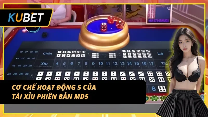 Cơ chế hoạt động vô cùng dễ hiểu của Tài xỉu MD5