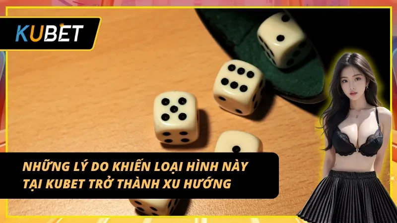 Những lý do khiến Tài xỉu MD5 trở thành xu hướng chơi thịnh hành