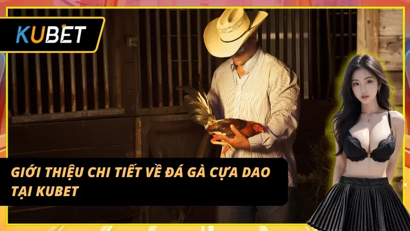 Tổng quan về môn đá gà cựa dao tại sân chơi Kubet
